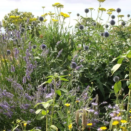 A Casa Da Eira Lantställe