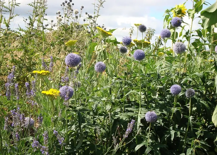 Venkovský dům A Casa Da Eira