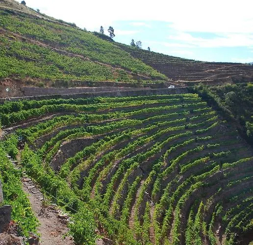 A Casa Da Eira Venkovský dům Cerreda