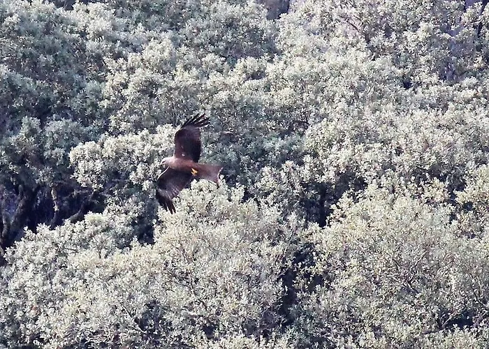 A Casa Da Eira Venkovský dům