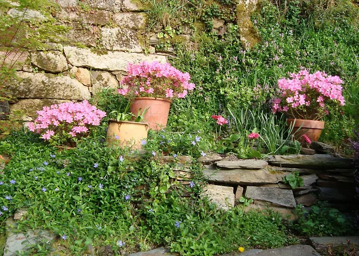 A Casa Da Eira Landhaus *