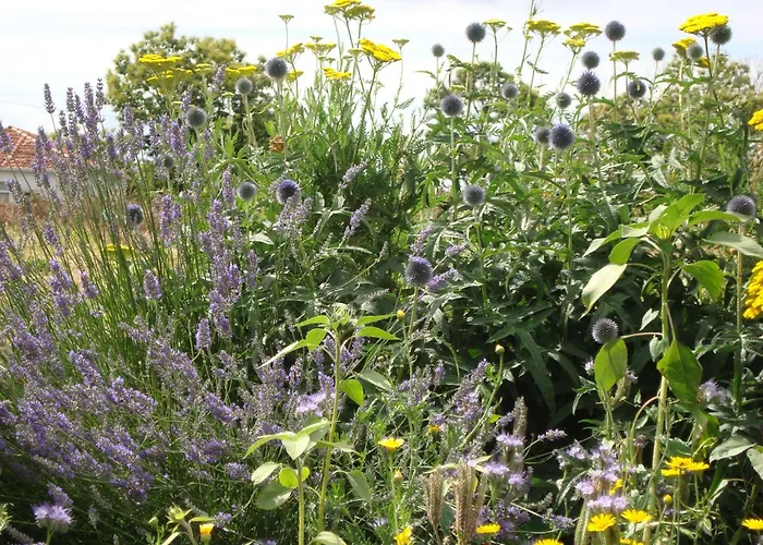 A Casa Da Eira Landhaus